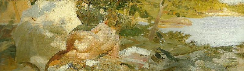 Anders Zorn solbad pa dalaro oil painting image